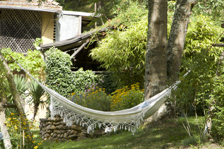 jardin - hamac